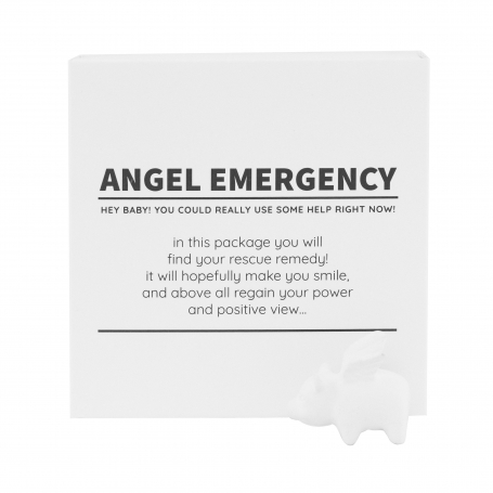 images/categorieimages/angel-emergency2-500-mb-18.jpg